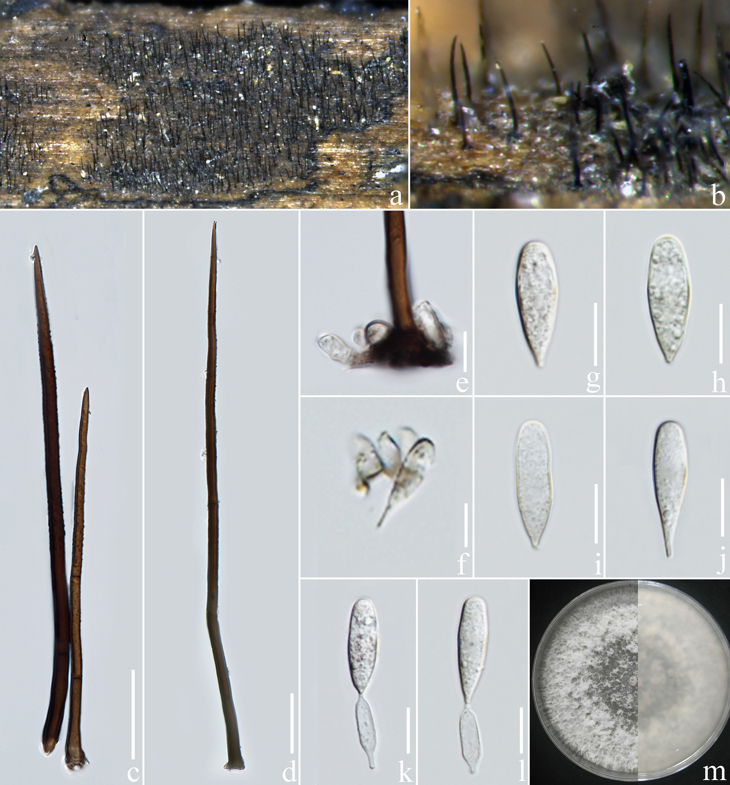 Figure 112